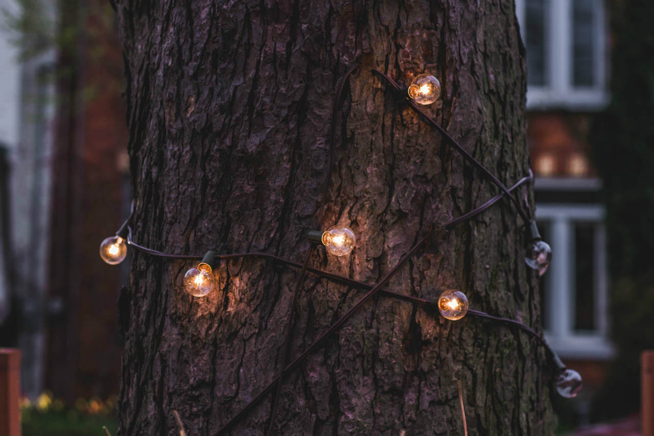 boom met verlichting